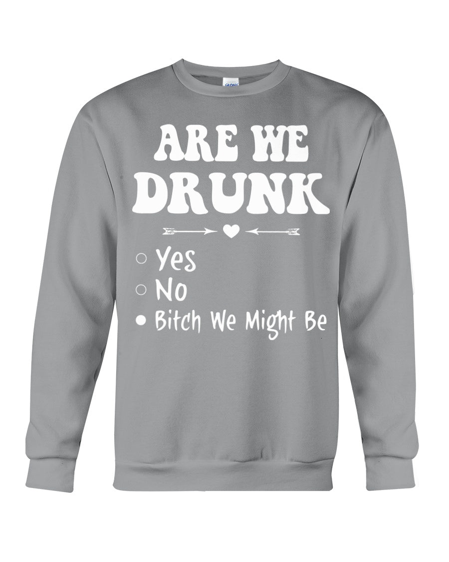 Are We Drunk Bitch We Might Funny Gift For Summer Holiday Sweatshirt