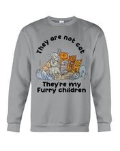 Load image into Gallery viewer, Cat Is Furry Children Custom Design Gifts For Cat Lovers Sweatshirt
